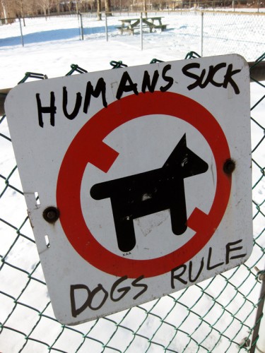 dogs_rule